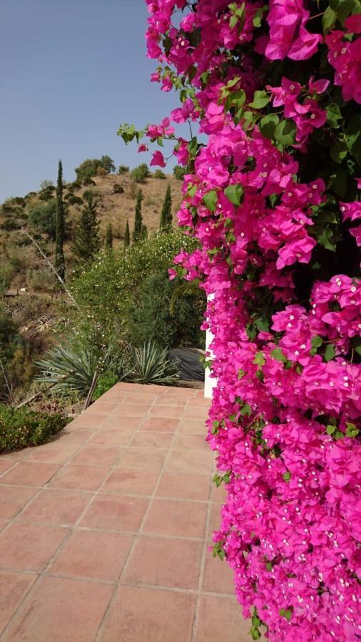 Cortijo Las Palmeras El Chorro Эль-Чорро Экстерьер фото