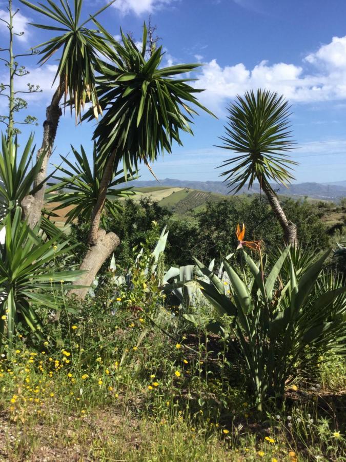 Cortijo Las Palmeras El Chorro Эль-Чорро Экстерьер фото